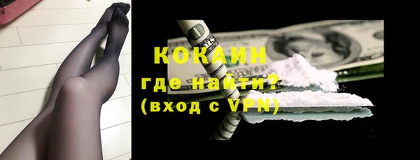 крисы Баксан