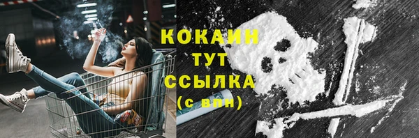 крисы Баксан