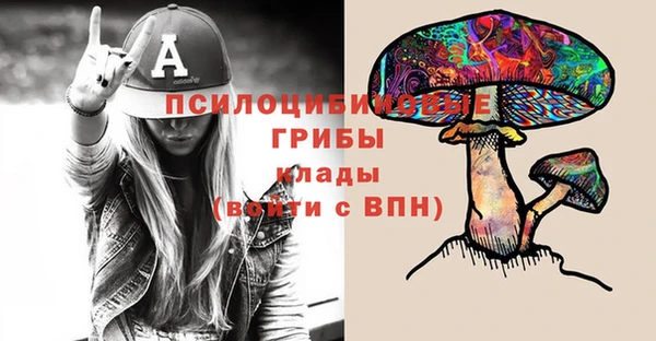 крисы Баксан