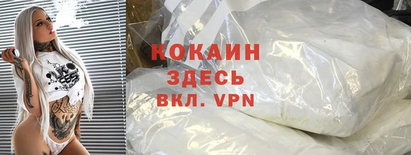 крисы Баксан