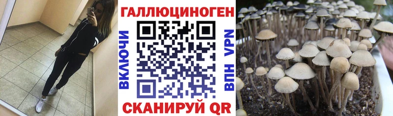 магазин продажи   МЕГА   Галлюциногенные грибы ЛСД  Большой Камень 